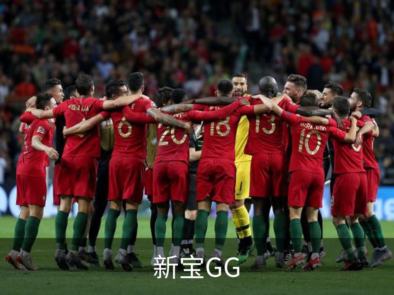 关于新宝GG
